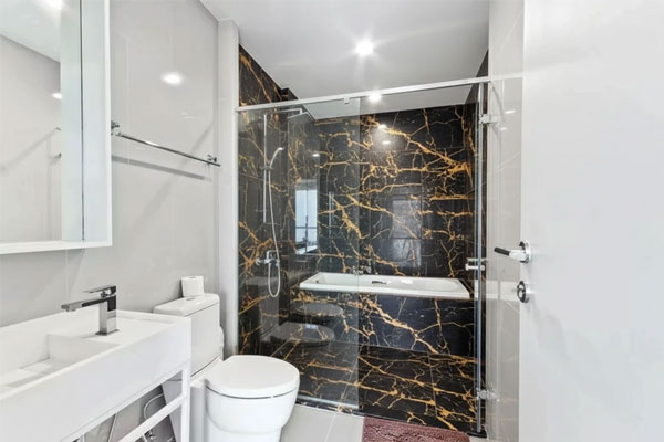 اشیاء قیمتی در چاه توالت